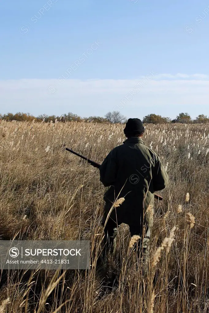 Duck hunter in a Rhone delta field