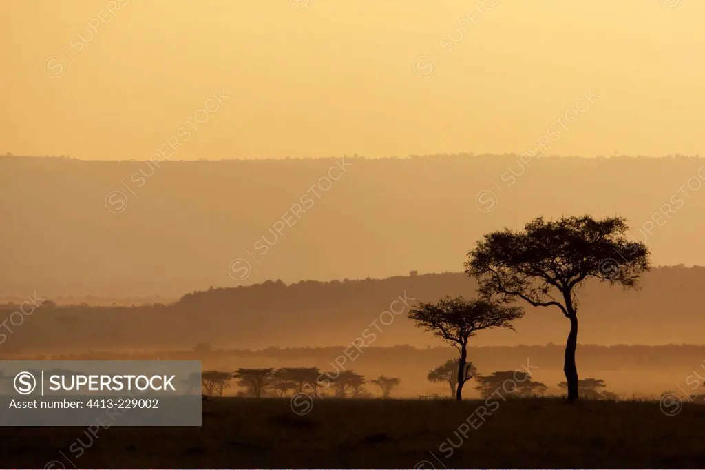 Sunset Masai Mara National Reserve Kenya