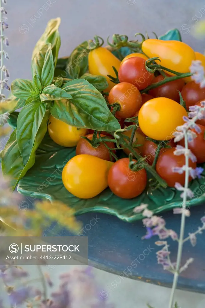 Tomatoes cherry and 'Pear shape' in a dish
