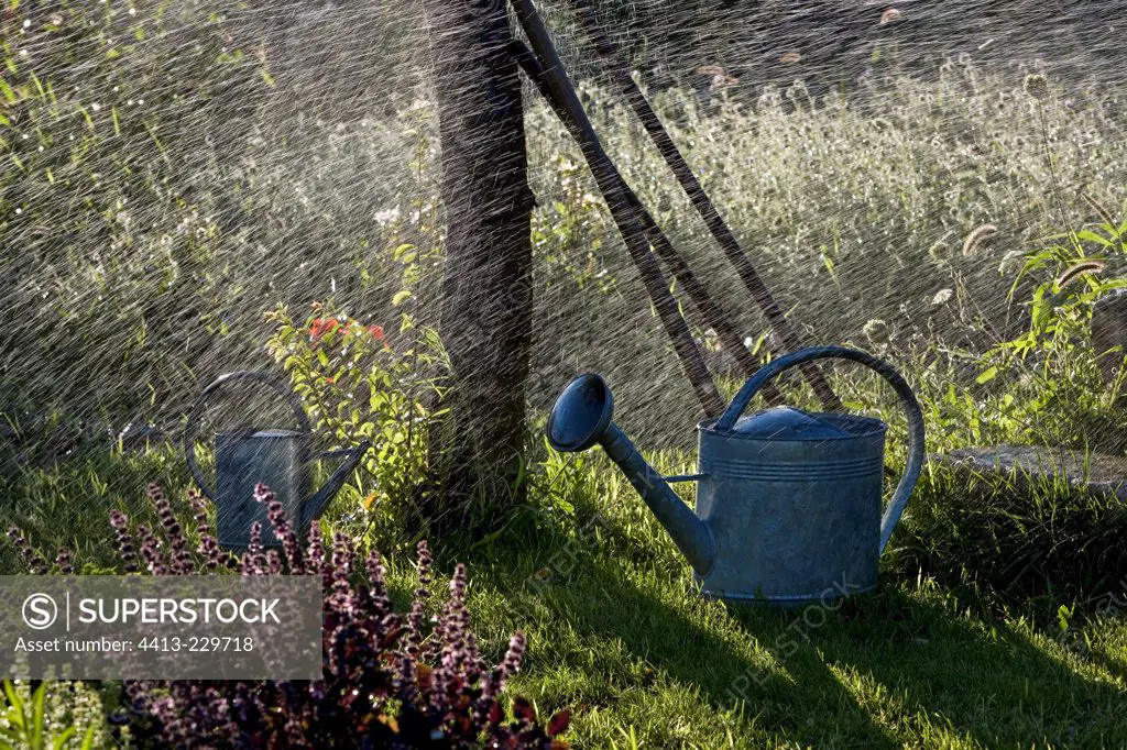 Sprinkling water and watering can in a garden