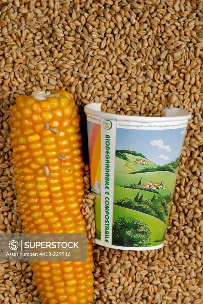 Gobelet disposable plastic vegetable and maize