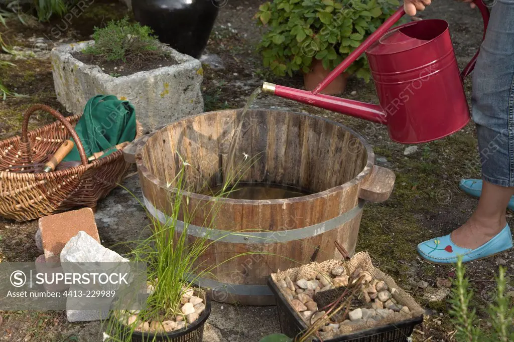 Creation of a little garden pound in a cask