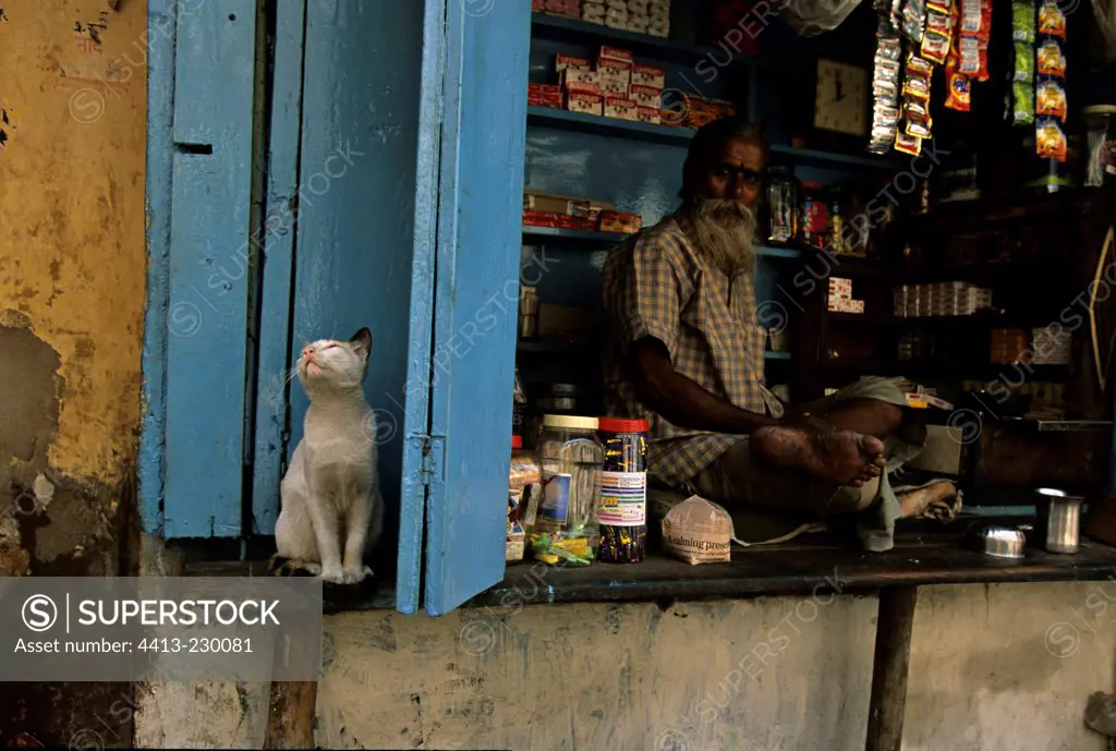 Cat sitting near a man on a stall Calcutta India