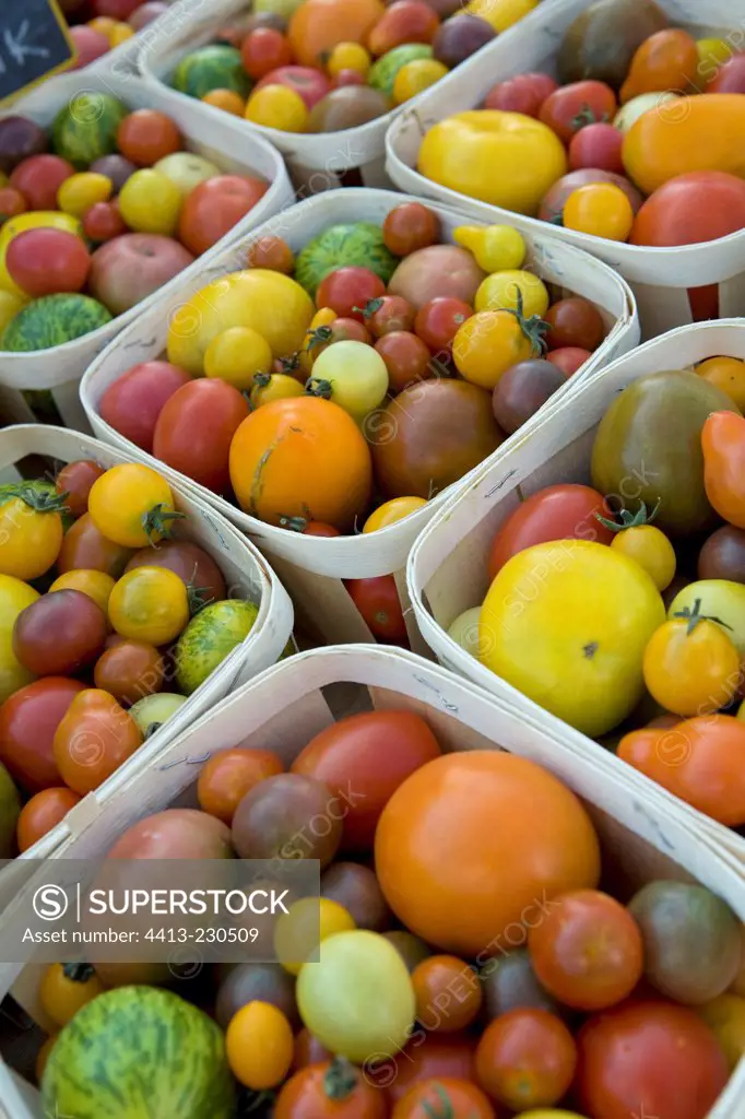 Exotic tomatoes at the market