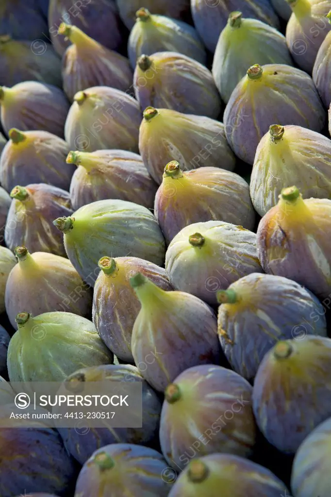 Figues blanches 'Madeleine' at the market