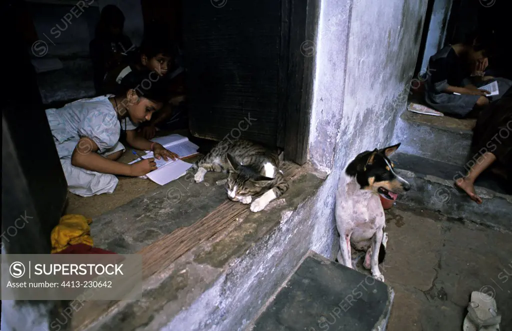 Girls writing on a copybook near a cat and a dog India