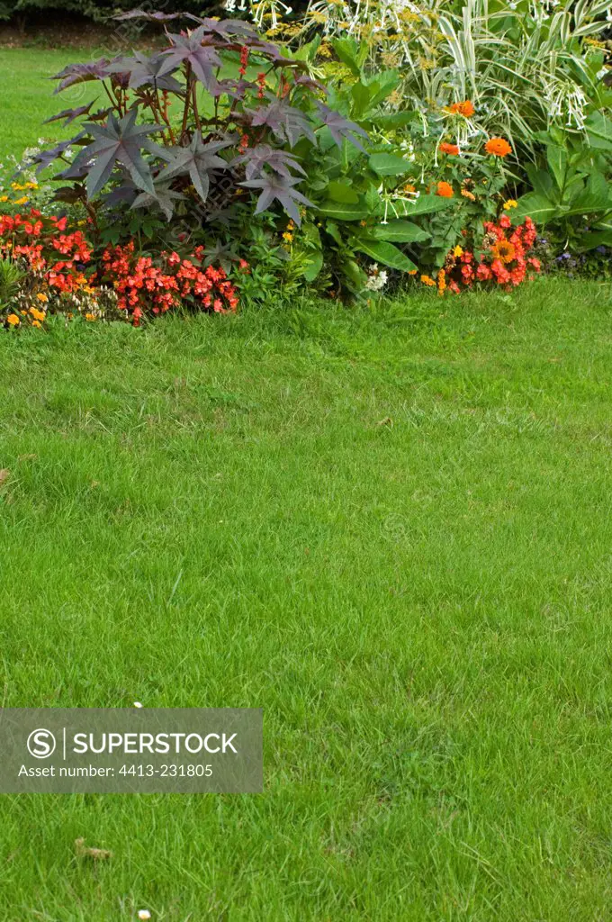 Turf and summer annual flowerbed in a garden