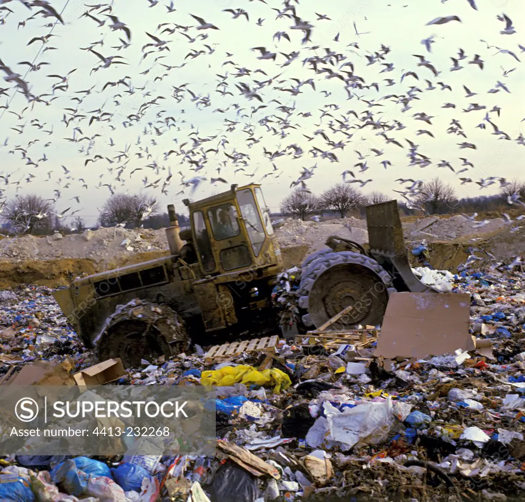 Landfill Compactor in a garbage dump France