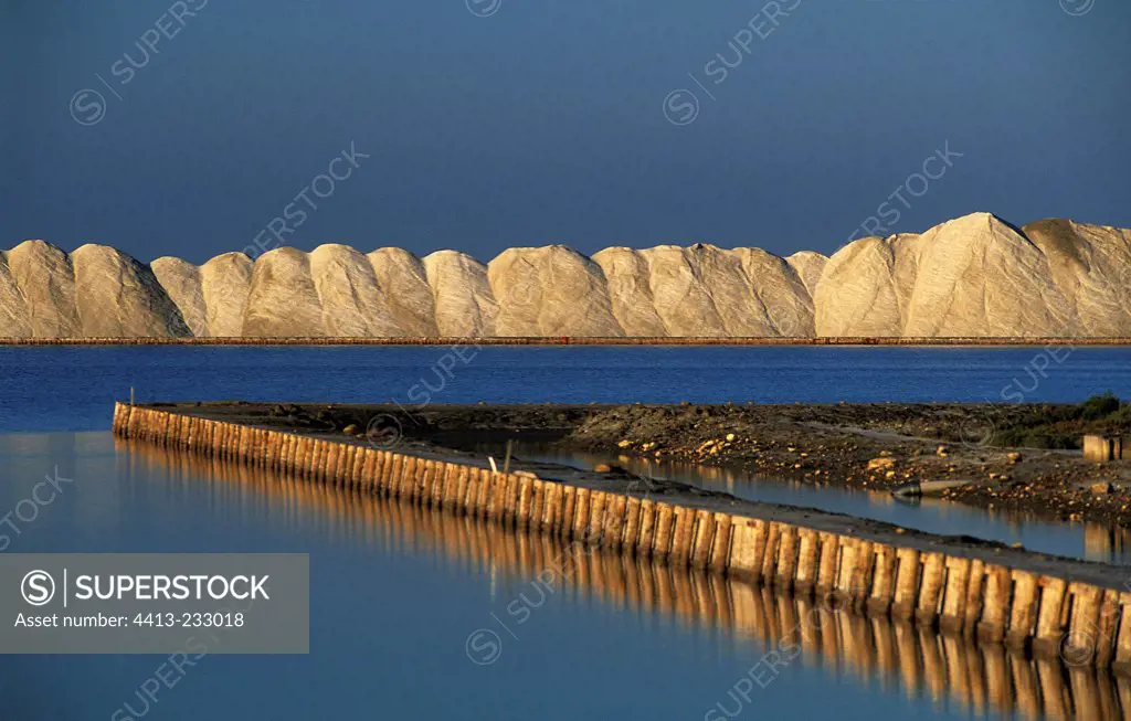 Dunes salt along the salt marshes France