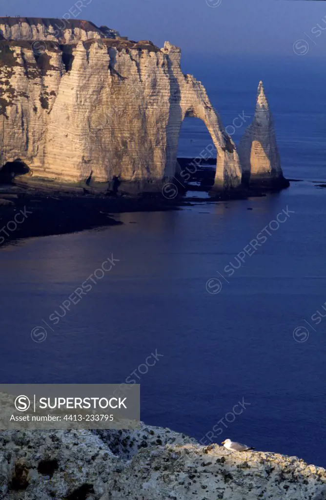 The arch and the needle of the cliff downstream Etretat
