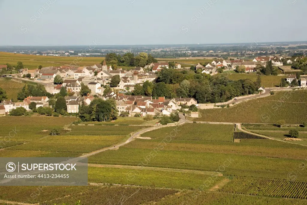 Vineyards landscape in Bourgogne in autumn