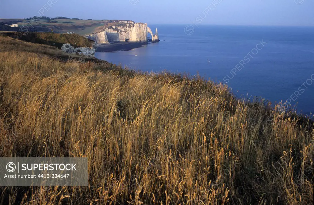 Cliffs at Etretat Normandy France