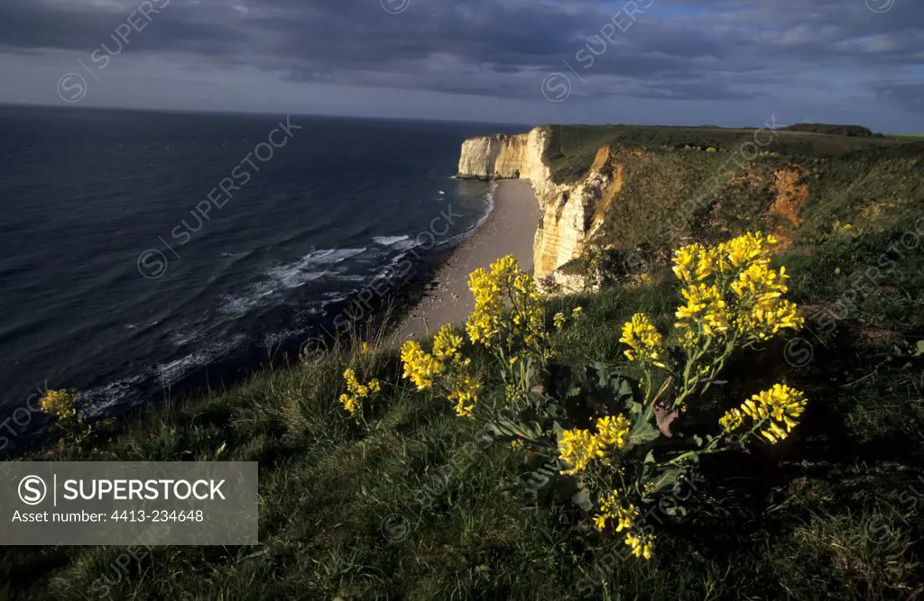 Cliffs between Le Havre and Etretat Normandy France