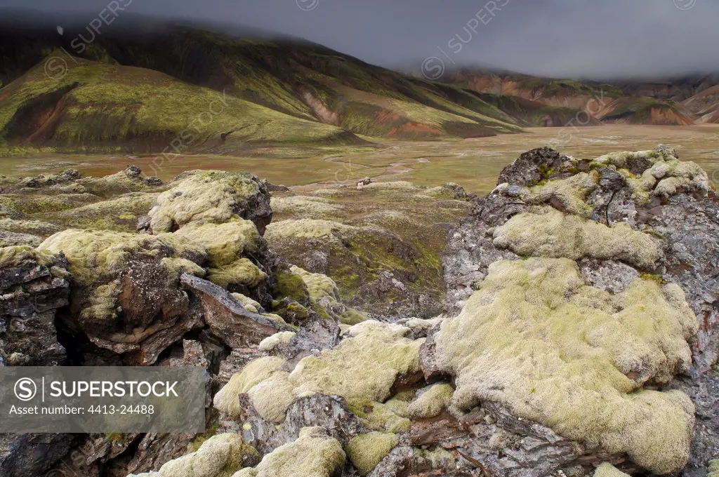 Mossy rocks in Landmannalaugar Iceland