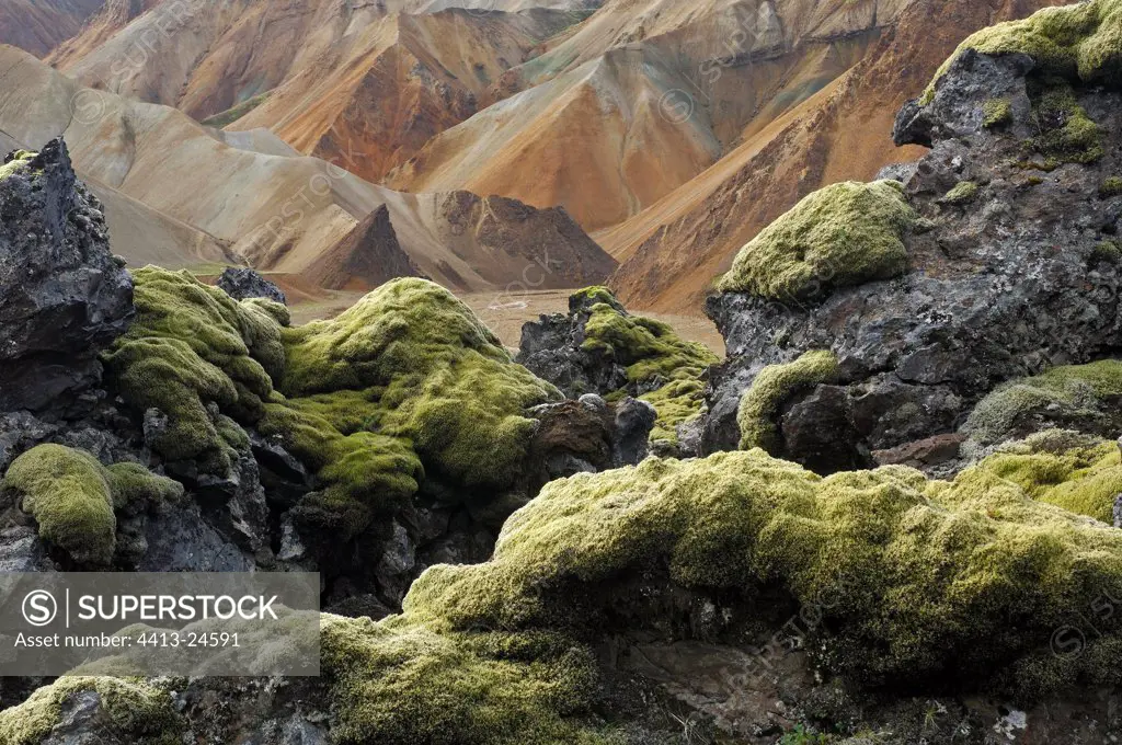 Mossy rocks Landmannalaugar Iceland
