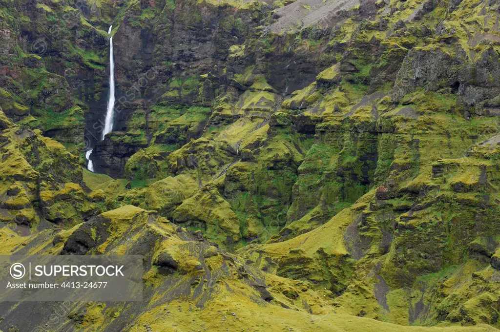 Waterfalls in a canyon with green moss Iceland