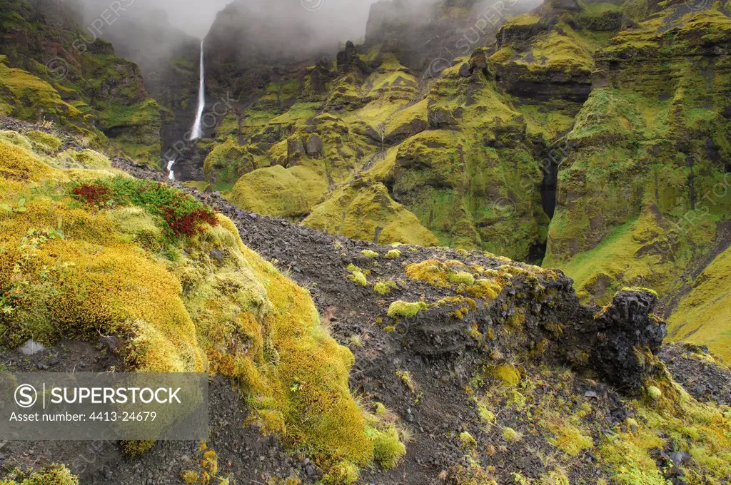 Waterfalls in a canyon with green moss Iceland