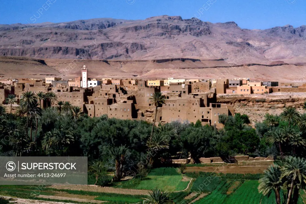 Tinerhir oasis and palm grove Morocco