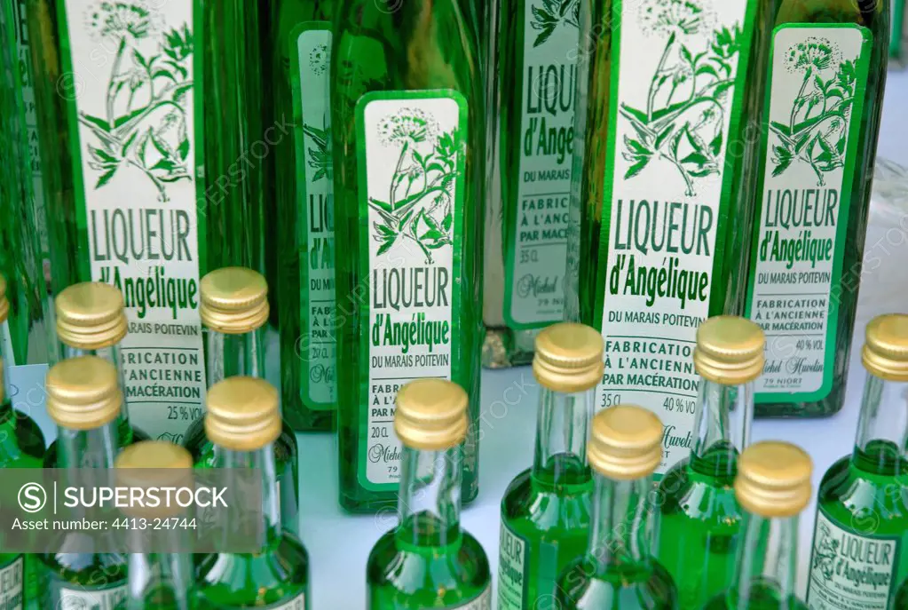Angelica liqueur bottles France