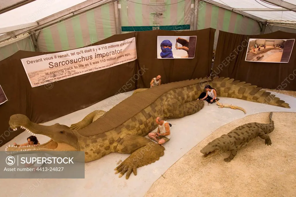 Technicians reconstituting the skin of a Sarcosuchus France