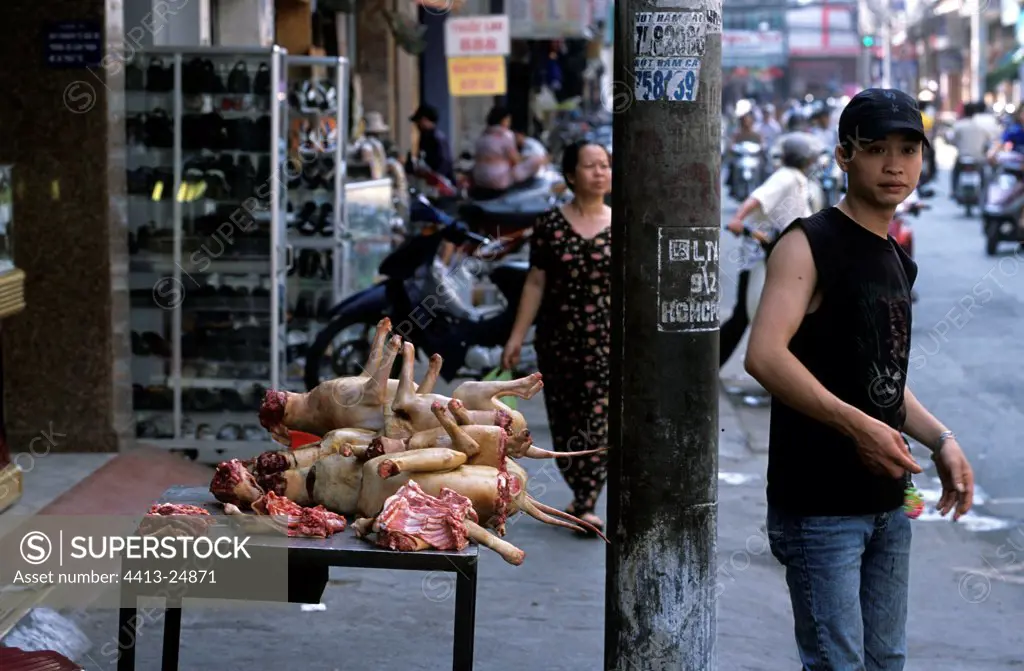 Dogs roasts of display in the street Vietnam