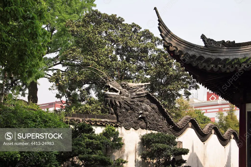 Dragon in the garden of the Mandarin Yu Shanghai China