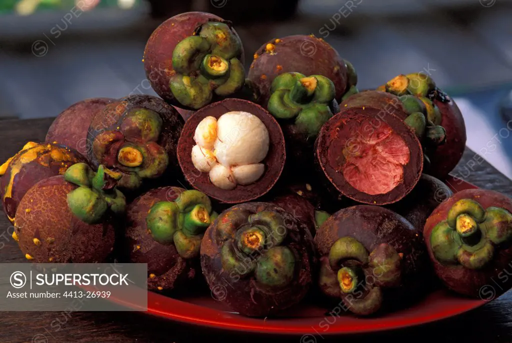Fruits exotic of Mangosteen crossed and whole Borneo