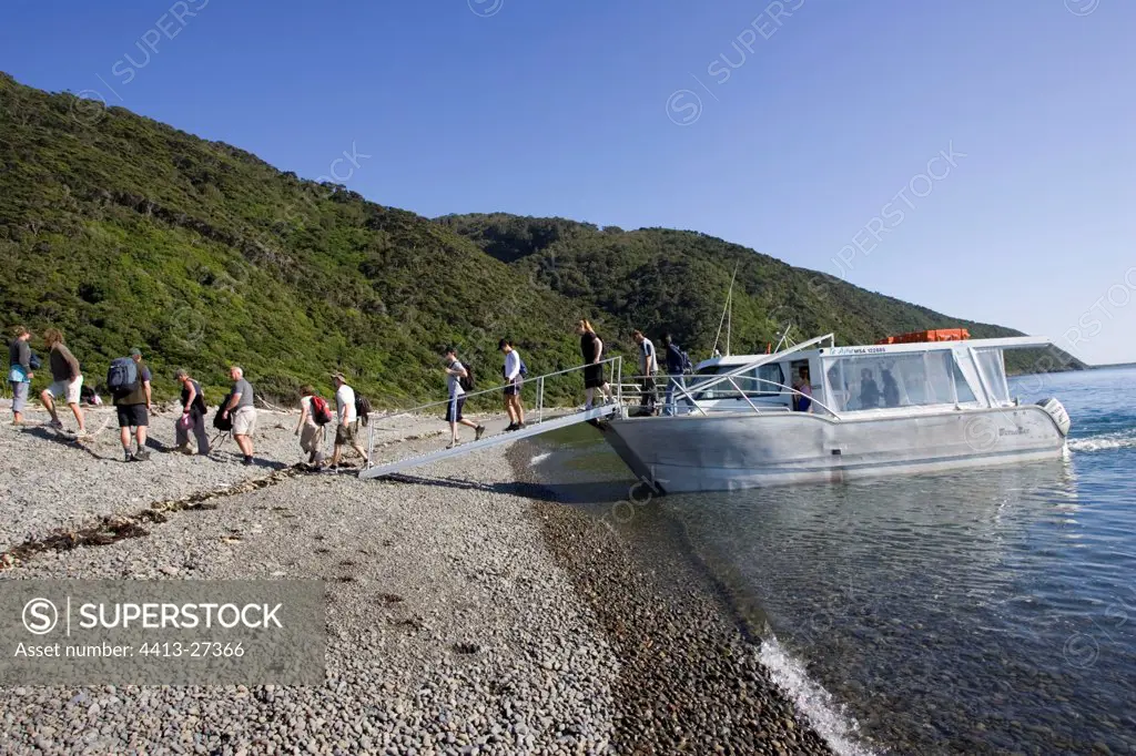 Visitors leaving boat on Kapiti island near Wellingron
