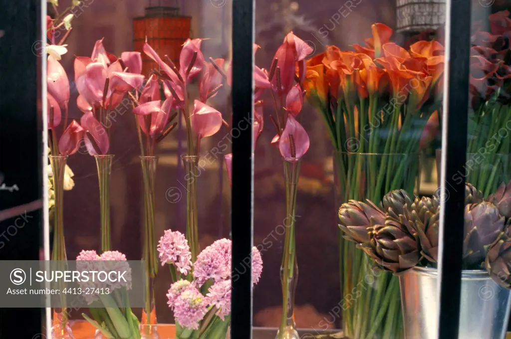 Flowers in florist's window France