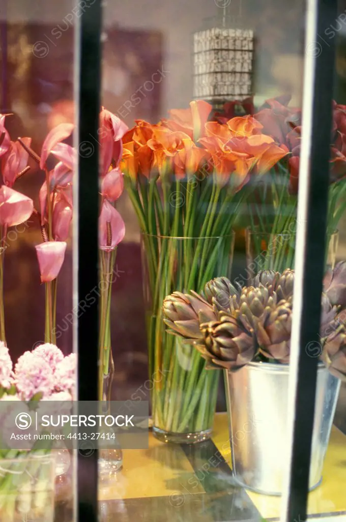 Flowers in florist's window France