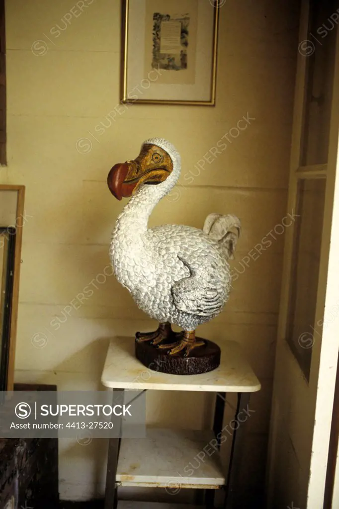 Statue of Dodo in a house Mauritius