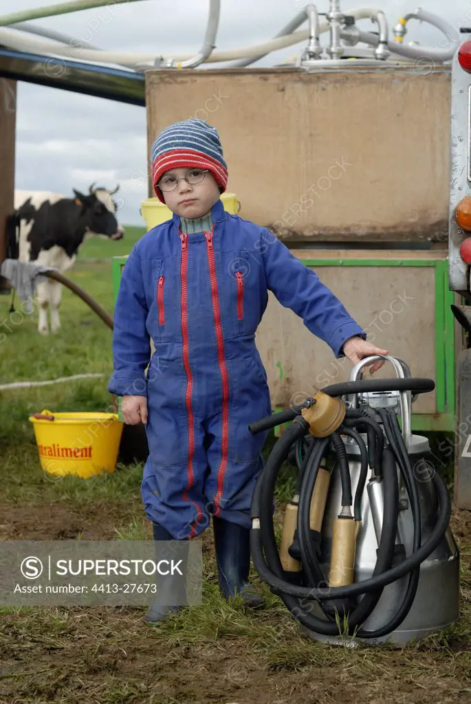 Young stockbreeder of milch cows and system of draft