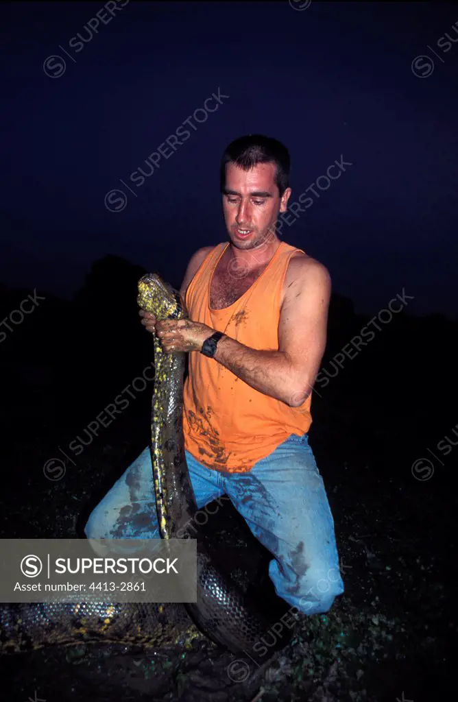 M.J. Urcera having captured a green Anaconda El Frio Venezuela