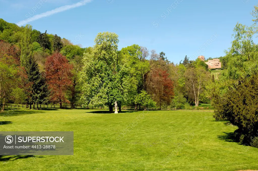 Park and ruins of Kintzheim Castle Alsace