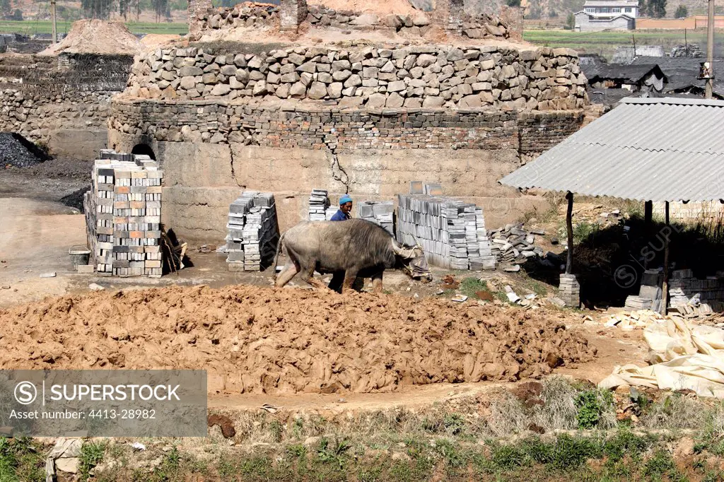 Malaxage of clay in a brick Yunnan China