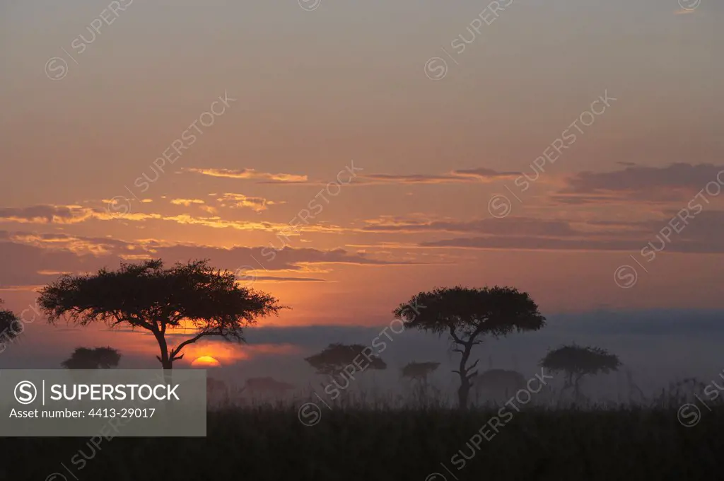 Sunset over the Masai Mara Reserve Kenya