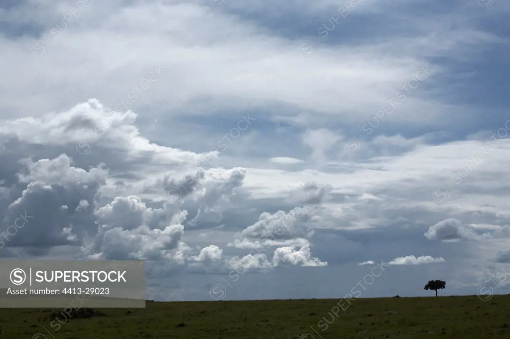 Thunderstorm over the Masai Mara Reserve Kenya