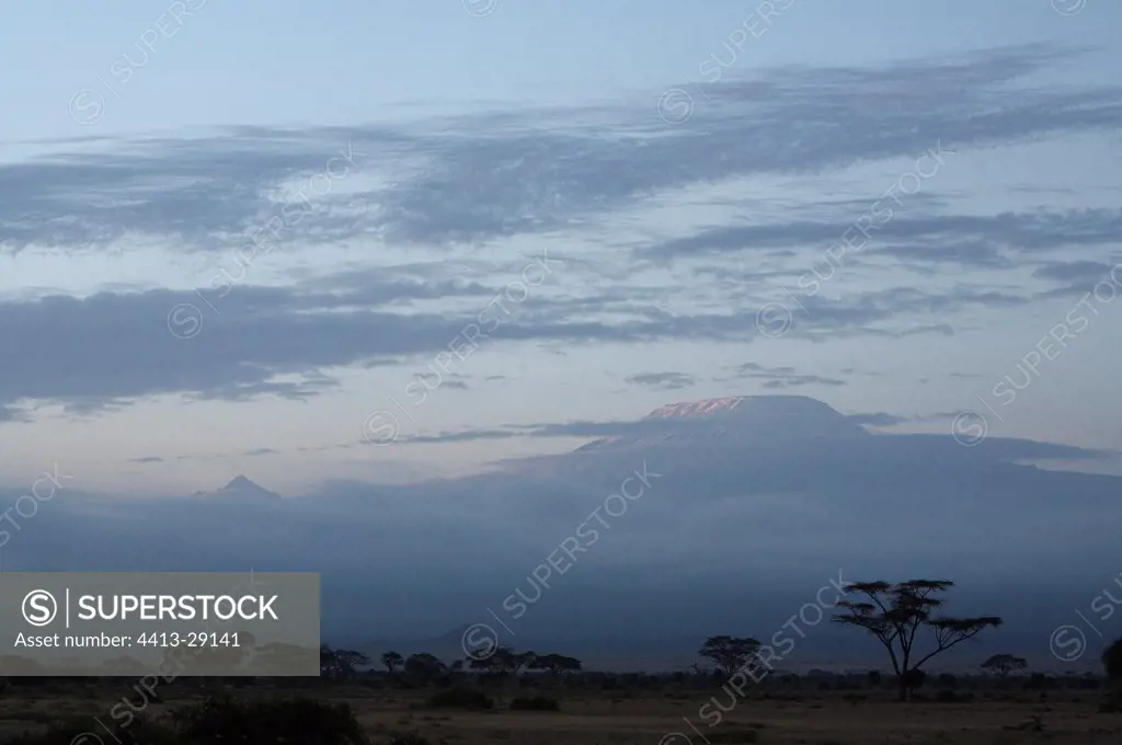 Kilimandjaro seen from the Amboseli National Park Kenya