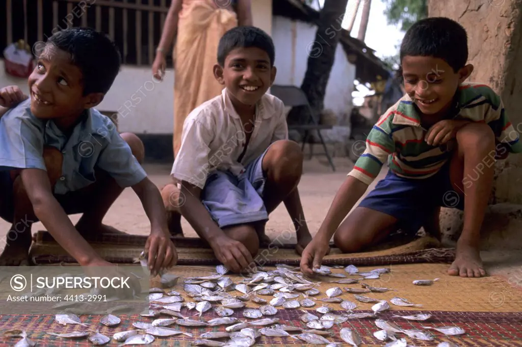 Children sorting out fish fished by their father Karwar