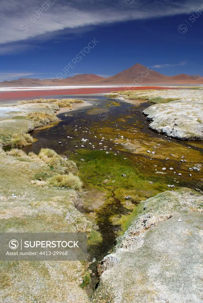 Laguna Colorada Altiplano Bolivia