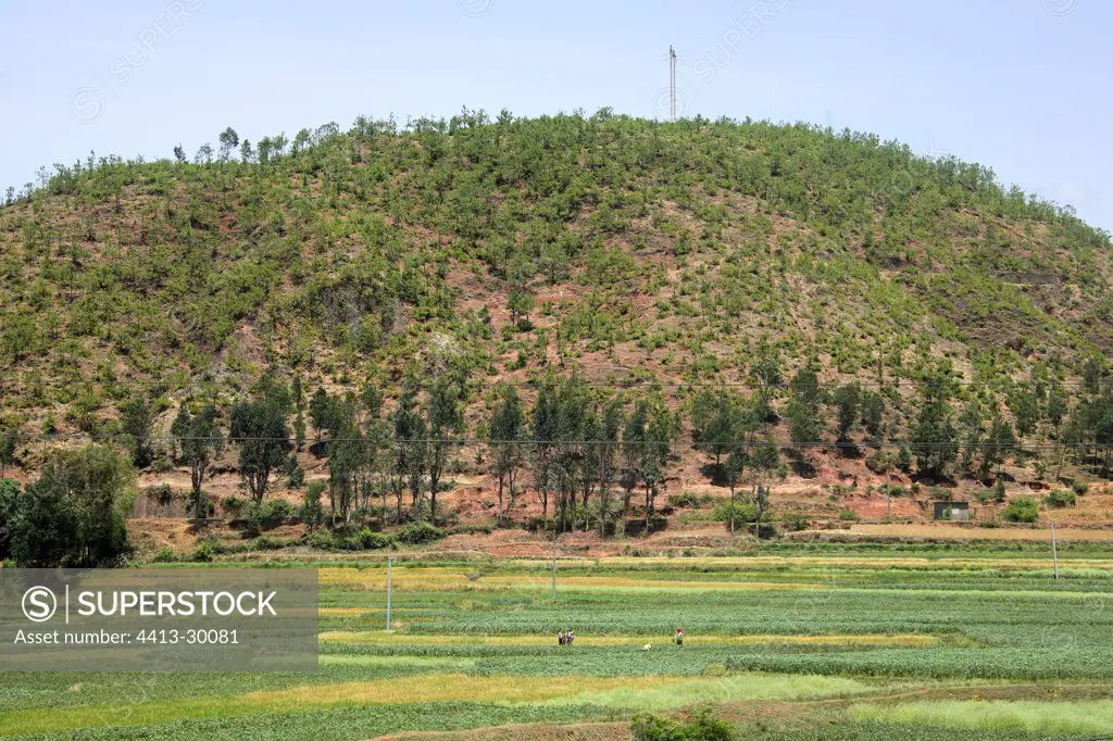 Soil degradation Yunnan China