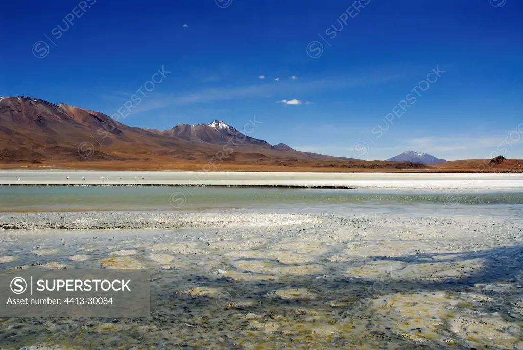 Laguna Chiar Kota Altiplano Bolivia