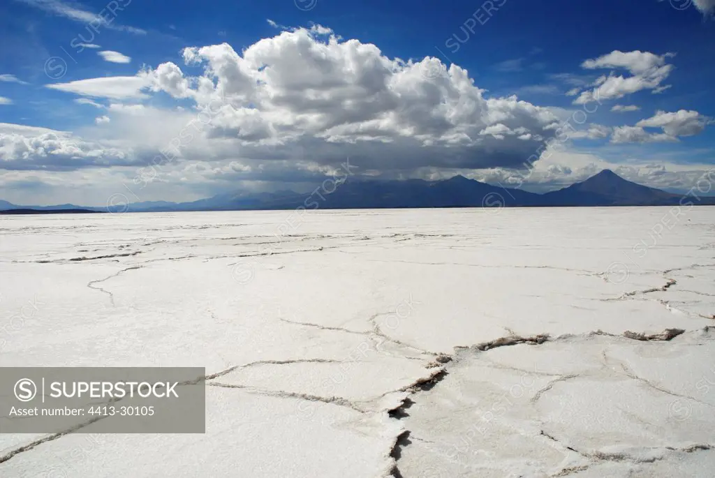 Incahuasi island Salar Uyuni Altiplano Bolivia