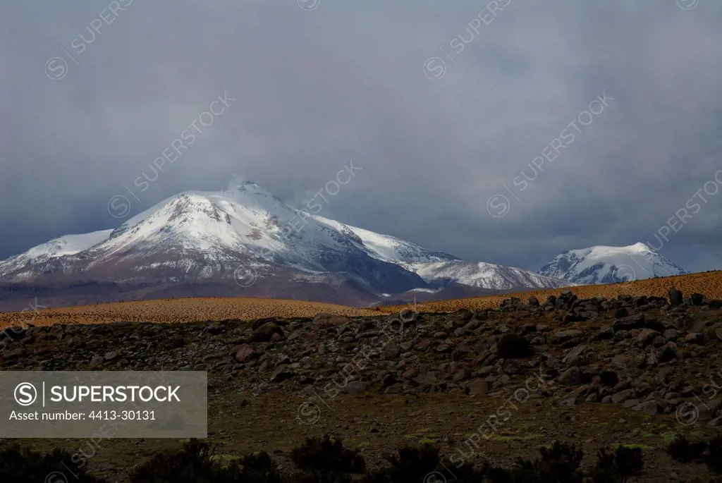 Guallatire Volcano Lauca National Park Chili