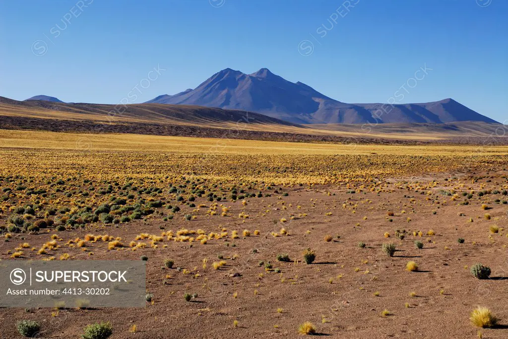 View to road Paso de Sico Atacama desert Chile
