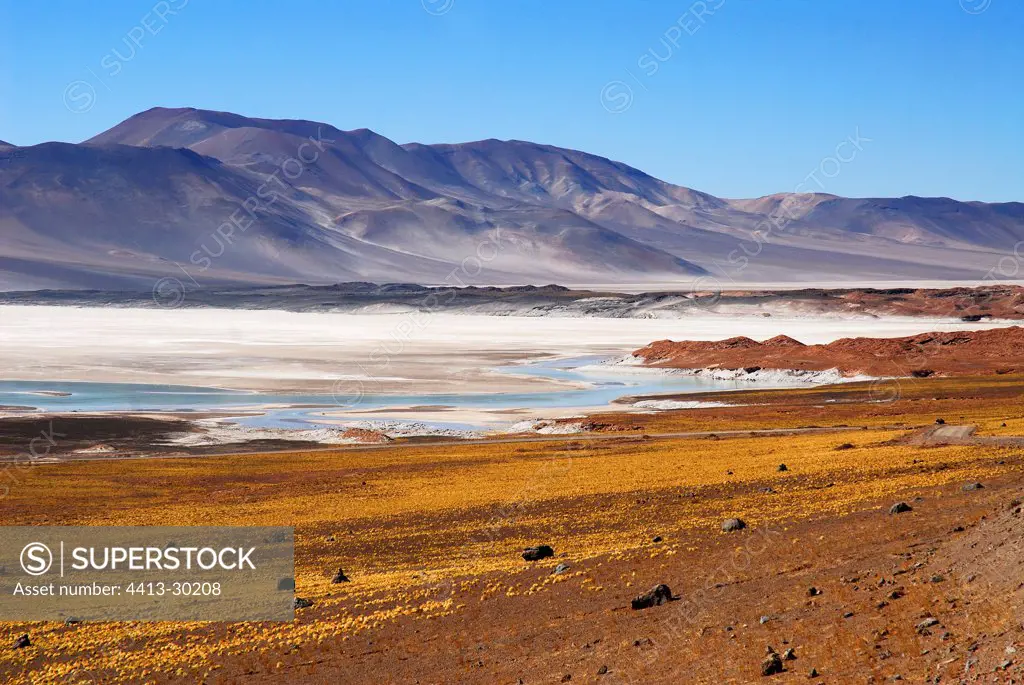 Salar de Talar Road Paso de Sico Atacama Chili