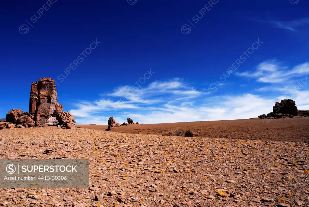 The Monks of Pacana Atacama desert Chili