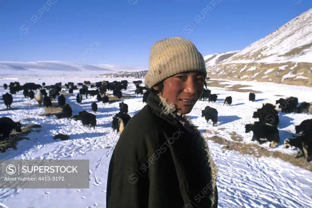 Young Tibetan nomad keeping his Grunting ox China