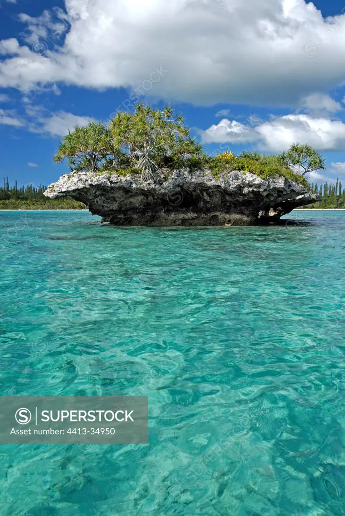 Tahitian screwpines on small coral island Isle of Pines
