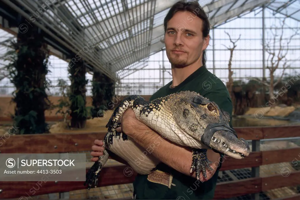 Welfare man holding a blocked crocodileFerme aux crocodiles